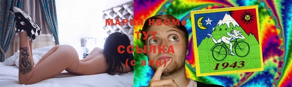 молекула духа Надым