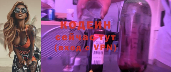 молекула духа Надым