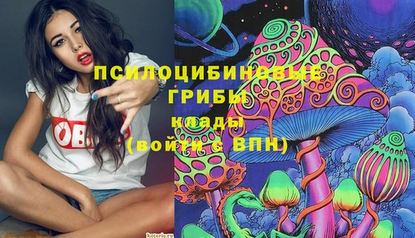молекула духа Надым