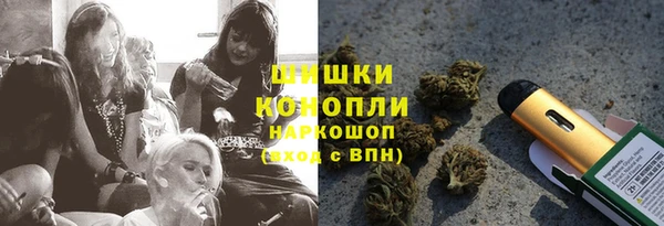 молекула духа Надым
