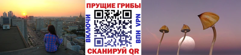 где купить наркоту  KRAKEN вход  Галлюциногенные грибы прущие грибы  Великий Новгород 